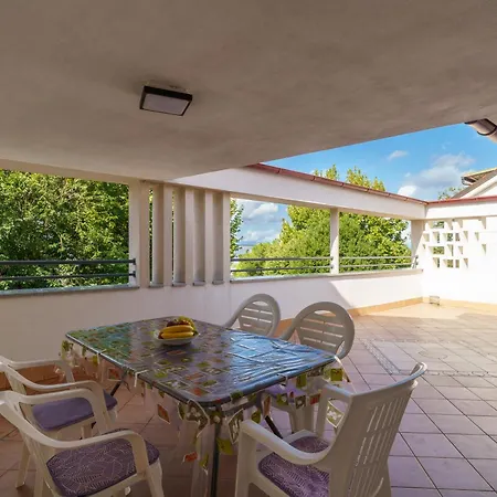 Katnic 1-2-3 تْسْغيكفانِتْسا